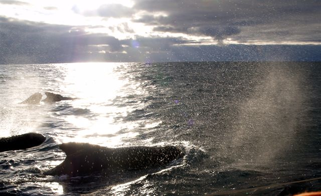 I felt part of some great enterprise